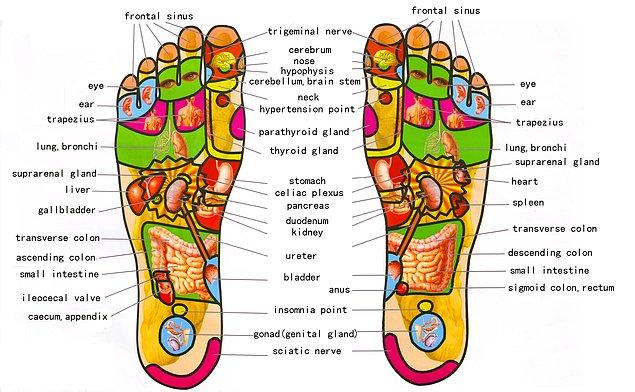 HOW YOUR FEET AFFECT YOUR BODY.